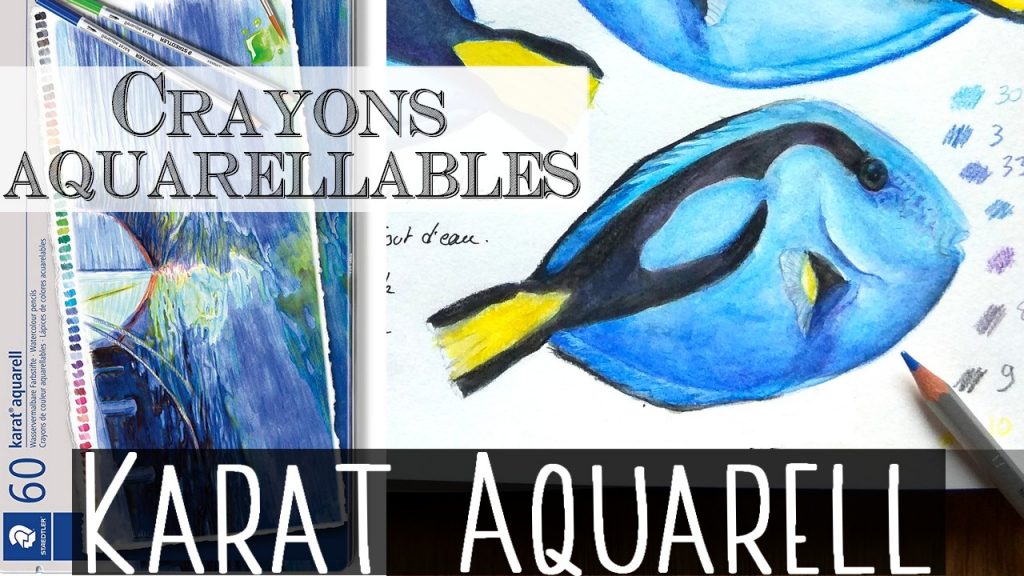 Staedtler Karat Aquarell, Crayons de couleur aquarellables de qualité professionnelle, Grande miscibilité des couleurs, Boîte métal de 36 crayons assortis, 125 M36 Staedtler Karat Aquarell, Crayons de couleur aquarellables de qualité professionnelle, Grande miscibilité des couleurs, Boîte métal de 36 crayons assortis, 125 M36