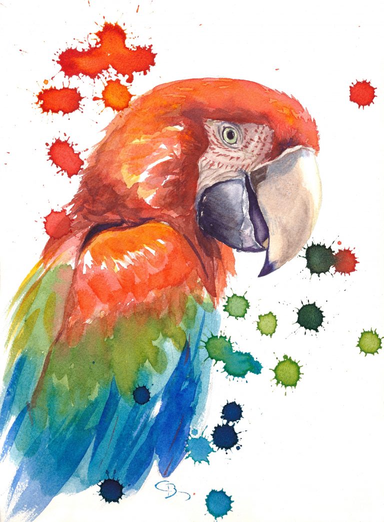 Perroquet (Aquarelle)