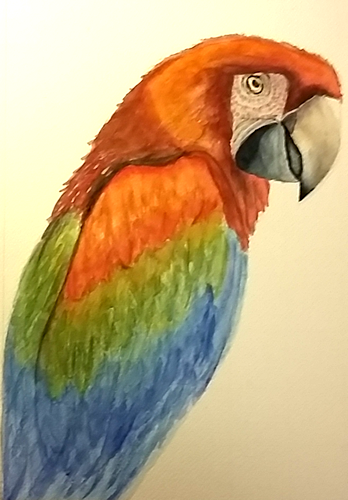 Vincent