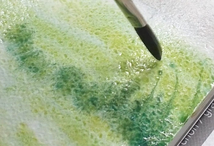 aquarelles super granuleuses