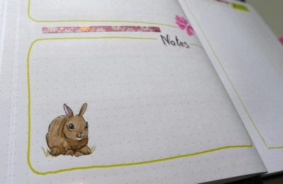 bullet journal lapin