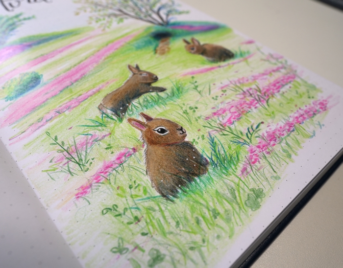 plan with me lapins