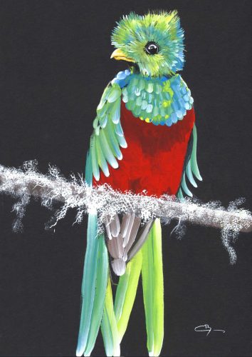 oiseau-gouache oiseau-gouache