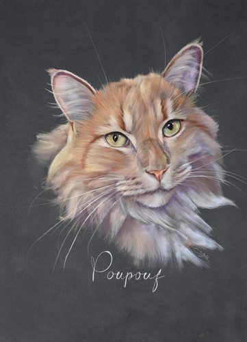 portrait-chat-pastel - Copie