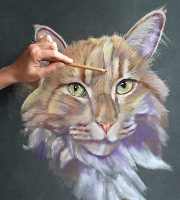 portrait-chat-pastel